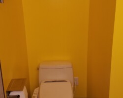 Washlet is a nice addition to the toilet.
