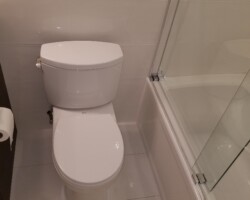 New toilet.