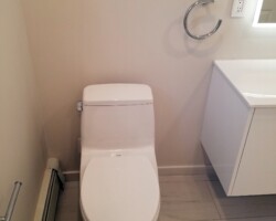 New one peace toilet.