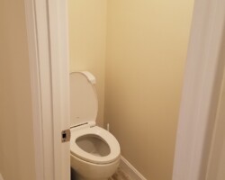 New toilet with pump.