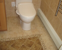 Washlet (bidet) instead of toilet seat.