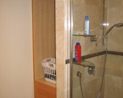 Nice looking shower system.