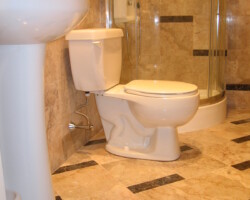 Sink pedestal and toilet.