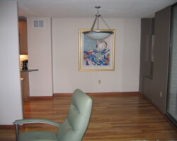 New flooring and painting.